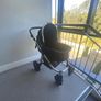 buggy Image 8