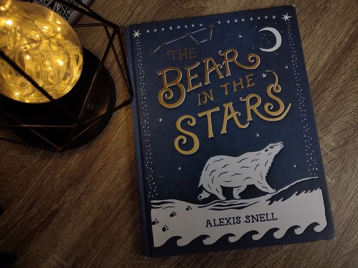 The Bear in the Stars ! Hardcover ! 2020 ! by Puffin !