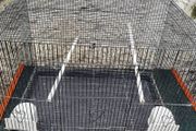 cage