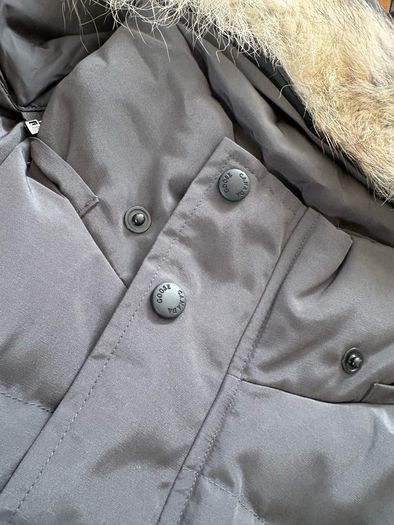 canada goose