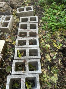 concrete blocks