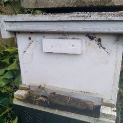 Beehive with bees in Kilkenny
