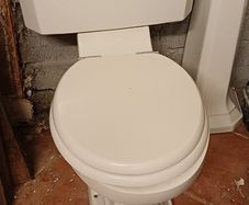 Toilet and sink