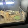 Vivarium Image 4