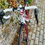 trek domane 4.5 carbon Image 7