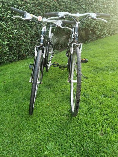 Shed clearance of 4 bikes-REDUCED