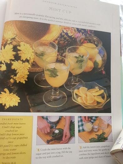 Cooking Book/Eating Outdoors .. Summer Time