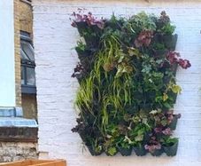 Vertical Garden