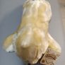 10 Inch Puppy New Soft Toy Teddy Bear Plush Image 6
