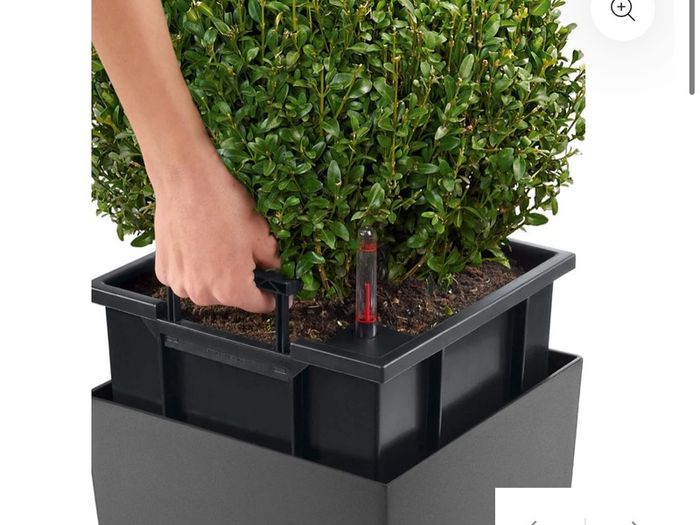 5 cubico plant containers
