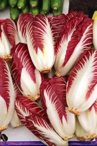 (C) Leaf Chicory Rossa Di Treviso seeds 1g (442342)