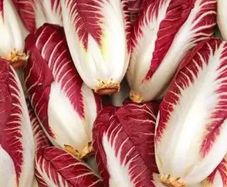 (C) Leaf Chicory Rossa Di Treviso seeds 1g (442342)