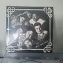 The Mary Wallopers blood records irish rock n roll blood records vinyl Image 2