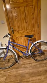 Classic vintage raleigh junior kids bike