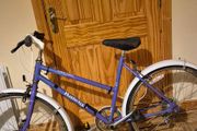 Classic vintage raleigh junior kids bike
