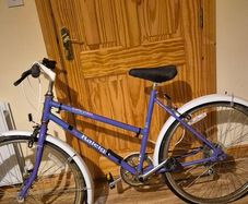 Classic vintage raleigh junior kids bike