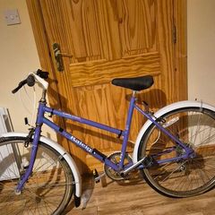 Classic vintage raleigh junior kids bike
