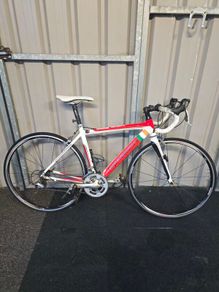 Merida Road Race 904