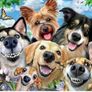 Ravensburger dog delight selfies 500 Jigsaw puzzle Image 2