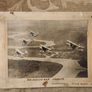 Aircraft. Image 9