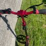 Globber scooter Image 3
