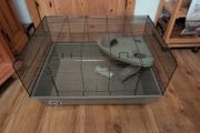 large hamster cage + accessories