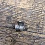 ring Image 2