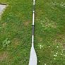 Oar Image 2