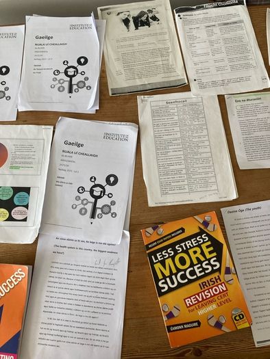 H1 institute of education Irish notes for paper 1 and 2 and more