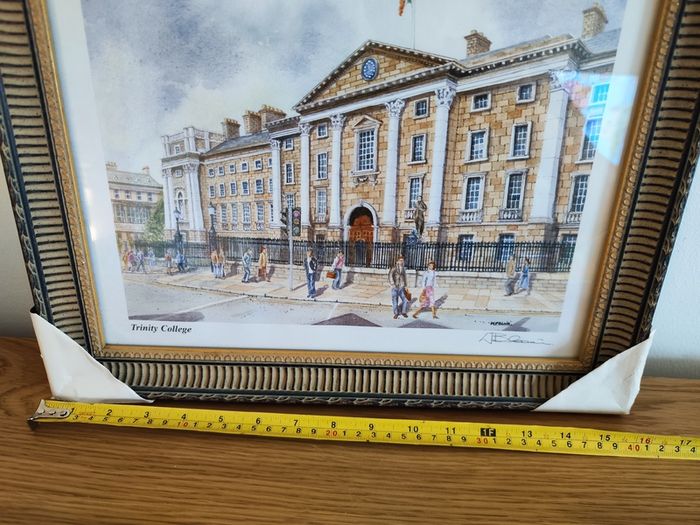 New framed Modern Picture Trinity college Dublin Ireland