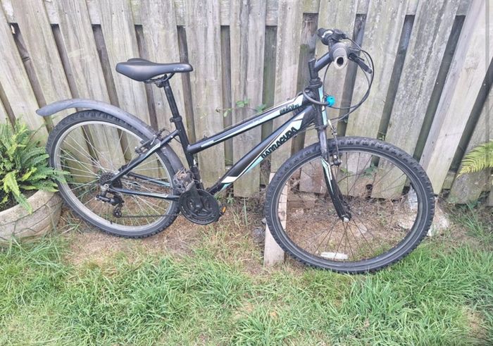 Mountain bike