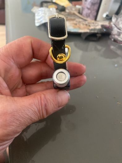 8 ft ferret collar, brand new