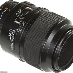 Nikon Macro Lens + Macro Flash
