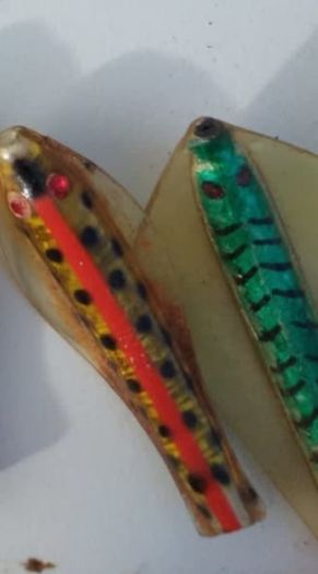tasmanian devil lures wanted interested in old lures minnows tillins cobra Ashley spinner lures or tasmanian devils lures