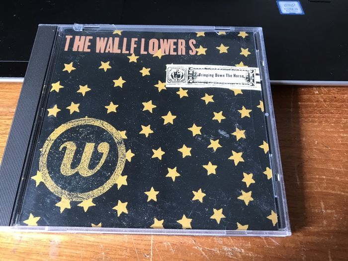 The Wallflowers "Bringing Down The Horse