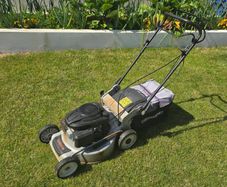 Weibang Petrol Selfdrive Lawnmower