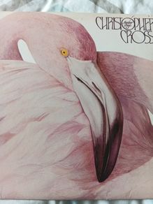 Another Page vinyl Album Christopher Cross