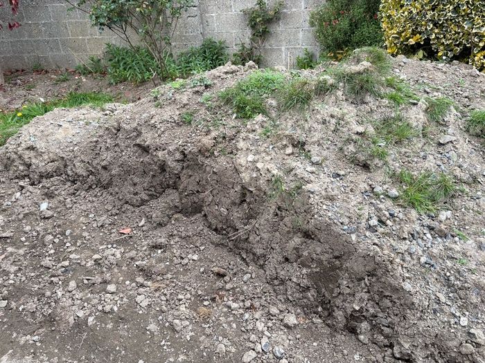 Top Soil