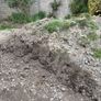 Top Soil Image 2