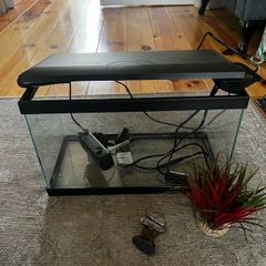 fish