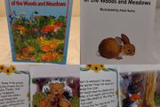 Baby Animals Of The Woods And Meadows Hardback Book