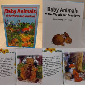 Baby Animals Of The Woods And Meadows Hardback Book