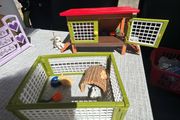 Schleich rabbit hutch