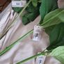 Faux Flowers BNWT Image 3