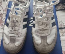 Sambas, white &black
