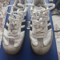 Sambas, white & black
