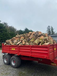 Firewood