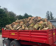 Firewood