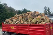 Firewood