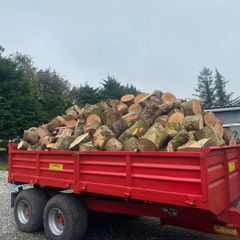 Firewood